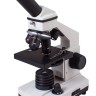 Микроскоп Levenhuk Rainbow 2L PLUS MoonstoneЛунный камень - Микроскоп Levenhuk Rainbow 2L PLUS MoonstoneЛунный камень