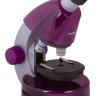 Микроскоп AmethystАметист Levenhuk LabZZ M101 - Микроскоп AmethystАметист Levenhuk LabZZ M101