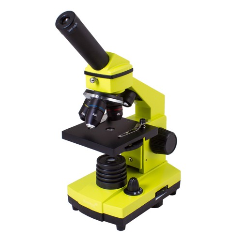 Микроскоп Levenhuk Rainbow 2L PLUS Lime/Лайм ● биологический микроскоп с увеличением от 64 до 640 крат; 
● прочный и устойчивый металлический корпус; 
● нижняя и верхняя светодиодные подсветки; 
● набор для опытов с микроскопом в комплекте. 

