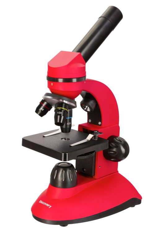 Микроскоп Discovery Nano Terra с книгой •   классический микроскоп начального уровня для учебы и хобби;
•   увеличение в диапазоне от 40 до 400 крат;
•   ахроматическая оптика из стекла, широкопольный окуляр;
•   наклонная монокулярная насадка – удобно для длительной работы;
•   комбинированная светодиодная подсветка, работающая от батареек;
•   в комплекте - познавательная иллюстрированная книга о микромире.

