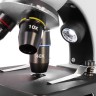 Микроскоп Discovery Nano Polar с книгой - Микроскоп Discovery Nano Polar с книгой