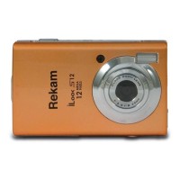 Цифровой фотоаппарат Rekam iLook S 12 /2 золотистый
