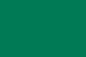 Фон бумажный Colorama Spruce Green-37 в рулоне, 2.72x11 м • бумажный фон Colorama Spruce Green-37 в рулоне с размерами 2.72х11 м.  
  