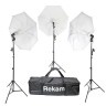 Rekam CL-465-FL3-UM Kit Комплект флуоресцентных осветителей - Rekam CL-465-FL3-UM Kit Комплект флуоресцентных осветителей