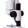 Микроскоп бинокулярный Levenhuk 1ST - Микроскоп бинокулярный Levenhuk 1ST