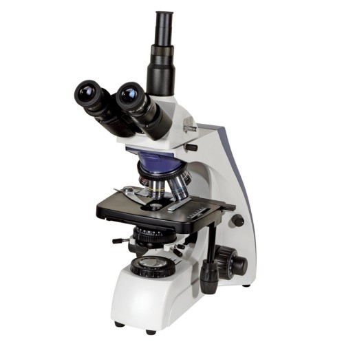 Микроскоп Levenhuk MED 30T, тринокулярный • тринокулярная насадка; 
• увеличение – от 40 до 1000 крат; 
• антигрибковое покрытие; 
• регулировка яркости; 
• настройка освещения по Келеру. 

